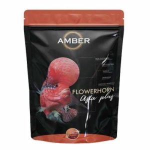 amber-asta-flowerhorn-food