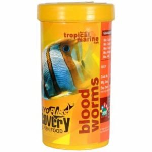taiyo bloodworms