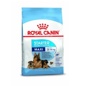 royal canin maxi starter