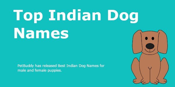 indian dog names